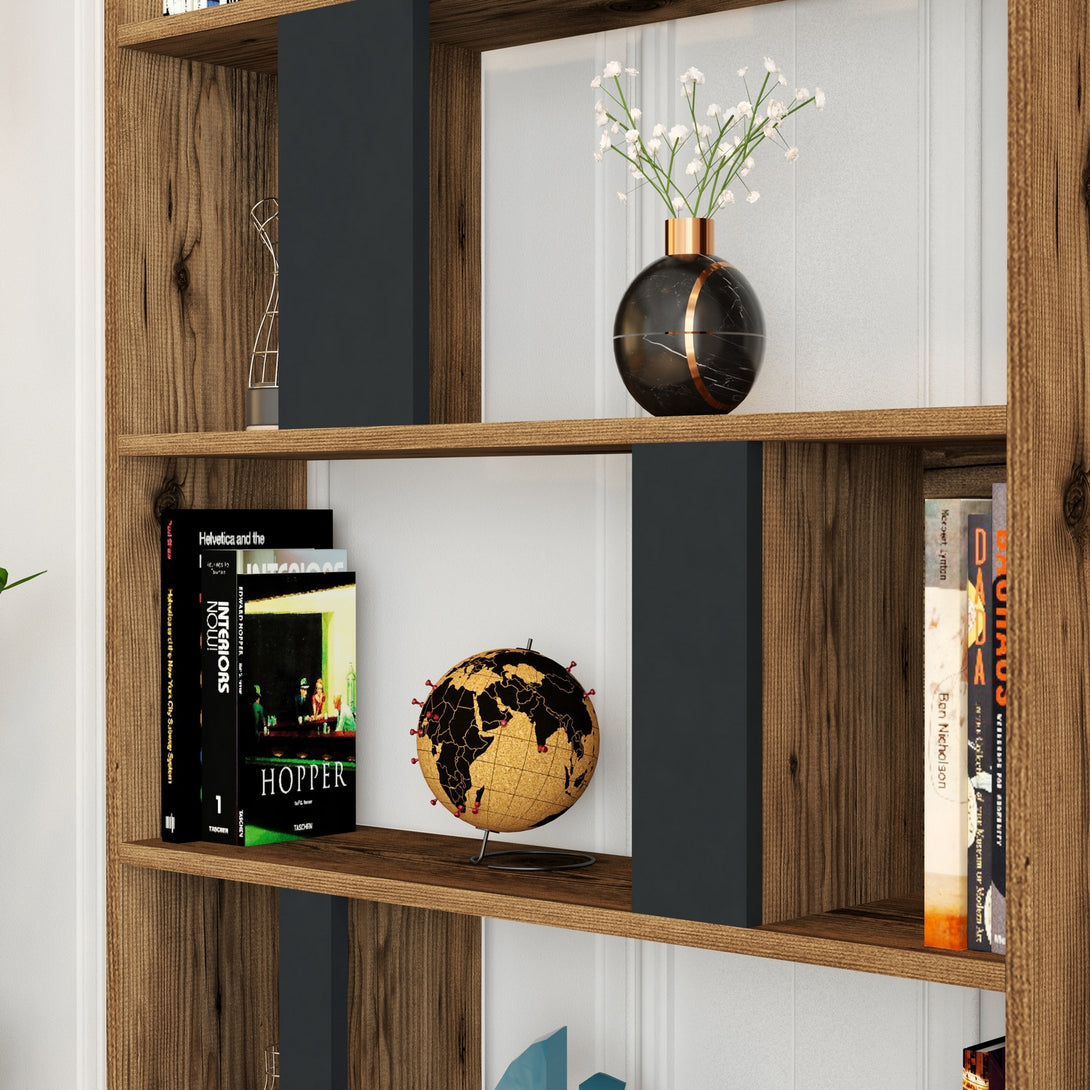Könyvespolc Lima - Walnut, Anthracite-Vashome.sk
