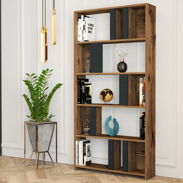 Könyvespolc Lima - Walnut, Anthracite-Vashome.sk