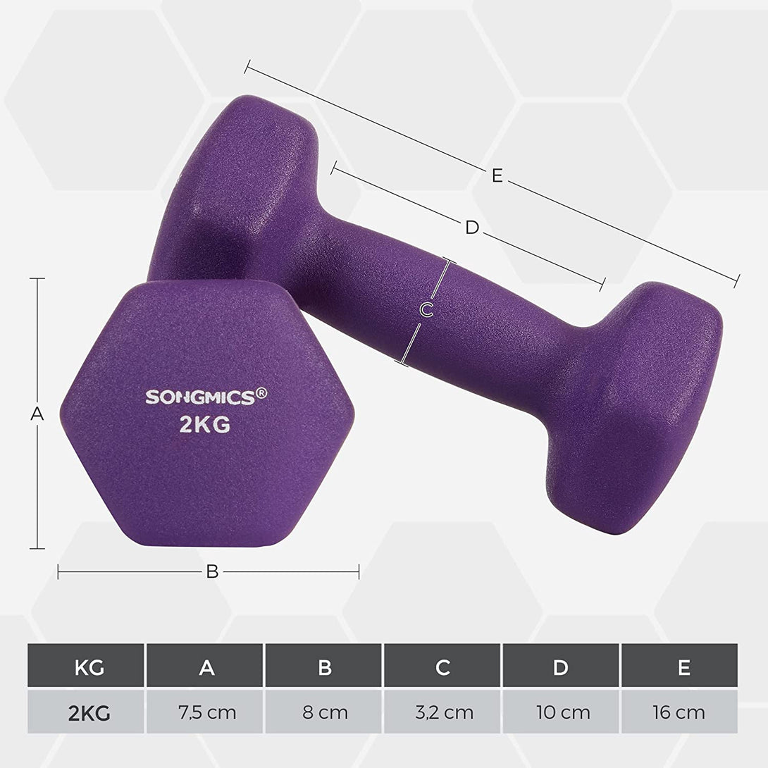 Sada činiek 2 ks, protišmykové činky 2 x 2 kg, fialové | SONGMICS-Vashome.sk